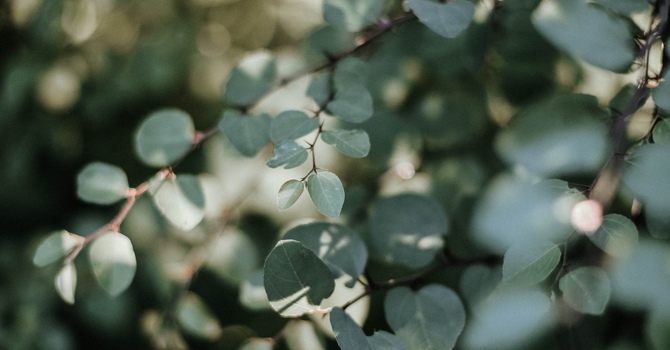 TARGETED MANUAL THERAPY